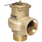 Conbraco 14-205-08 Bronze Pressure Relief Valve, Steam, 15 PSI, 2" NPT Male x Female