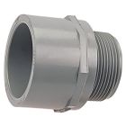 CPVC 80 Male Adapter 1/2"