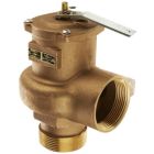 Conbraco 14-206-08 Bronze Pressure Relief Valve, Steam, 15 PSI, 2 1/2" NPT Male x Female