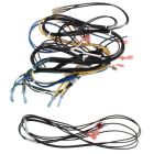 Weil-McLain 540-130-958 Wiring Harness for Steam Boilers w/ Probe LWCO only