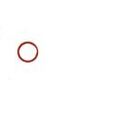 Kohler 57084 Indexing Ring Red