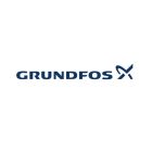 Grundfos 97509736 D16 TP40-160/2B 3/4 HP 1 Phase