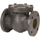 Nibco NHE300K Cast Iron Swing Check Valve, 6" Flanged 125 LB