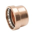 Mueller PF 07015 2 1/2" Press Tube Cap 