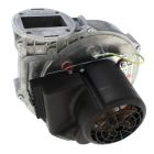 Triangle Tube PSRKIT13 Blower with Gasket (for Solo 175/250 Boilers)
