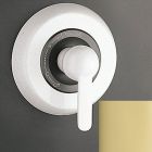 Kohler T14542-4-PB Paladar Rite-Temp Pressure-Balancing Valve Trim With Lever handle in vibrant polished brass