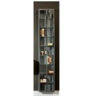 Rapsel CABI016 13" X 4" X 71" Wall Mounted Glass Cabinet