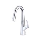 Danze D150518 Vaughn 1.75 GPM Single Hole Pull Down Kitchen Faucet in Chrome