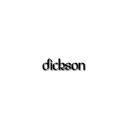 Dickson OM2030-HG Opulence 19-1/4" W X 30" H X 3-3/4" D Wood-Mirror Cabinet Hydrus in Gray