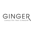 Ginger 2027-3 Toilet Paper Holder In Polished Brass