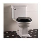 Devon & Devon IB1042CPMUSA Etoile 1.25" L X 1.73" H X 3.85" Lever for Close Coupled Cistern in White