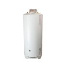 DHT Diversified Heat Transfer MP-50 Techtanium MP Residential Indirect Water Heater, 50 Gallons, Glass Lined Steel, w/ Top Connections