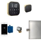 Mr. Steam ABUTLER1B-SB AirButler Steam Shower Control Package with AirTempo Control and Aroma Glass SteamHead in Black Satin Brass
