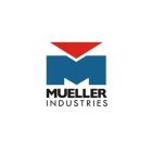 Mueller CP01284 Carbon Steel Press Adapter Female Reducing P x FPT, 2" x 3/4"