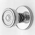 Newport Brass 217/15A Body Spray in Antique Nickel