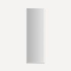 Robern P2C1236D4FBSC PL PORTRAY Cabinet, 12" W X 36" H, Bevel Edge, Slow-Close Hinges Upgrade