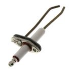 Laars R2071500 Flame Sensor Ignitor w/ Gasket