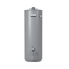 AO Smith BT-60 Conservationist 55 Gallon, 54 Input MBtu Commercial Natural Gas Water Heater - 3 Year Warranty