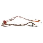 Rheem SP13884H Inner Door Gasket and Pilot Assembly Kit for Natural Gas Water Heaters