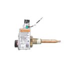 Rheem SP21195C - WR Gas Valve And Pilot Adapter Kit