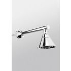 Toto TS784A#BN Clayton Single Function Shower Head in Brushed Nickel