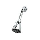 T&S Brass B-1091 Shower Head, Arm, Wall Flange with Ball Joint in Polished Chrome