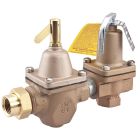 Watts 0388798, 1450F-STD, 0.5" Dual Control, Regulator And Relief Valve, Npt Thread