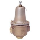 Watts 0303428 2" NPT 223S High Capacity Pressure Valve with Strainer