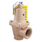 Watts 0383742, 740-045, 1.5" Iron Boiler Pressure Relief Valve, 45 psi, Expanded Outlets