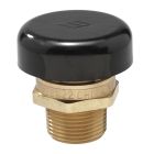 Watts 0556031, LFN36M1, 0.75" Lead Free Brass Vacuum Relief Valve, Male Npt, Protective Cap
