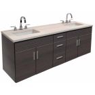 Empire WDS60-43BNP 60 Inch Contemporary Wall-Mount Vanity
