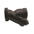 Apollo YCT04M20 YCT Series Cast Iron Wye Strainer, 3/4" FNPT, 20 Mesh Screen