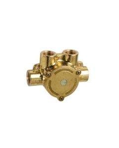 Hansgrohe 13418181 Rough, In-Line Pressure Balace Valve
