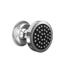 Newport Brass 2178/01 Tub and Shower Body Spray, Forever Brass