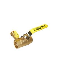 Webstone 40615 1-1/4" Threaded (IPS) Pro-Pal Ball Valve w/ Hose Drain