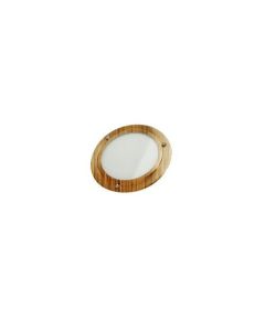 Thermasol SL-AB THERMASOL Shower Light, Antique Brass