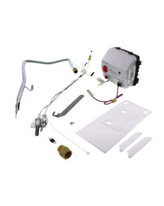 Bradford White 239-48275-01 Icon Natural Gas Valve