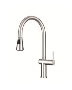 Franke FF20750 BERN PULL DOWN SPRAY