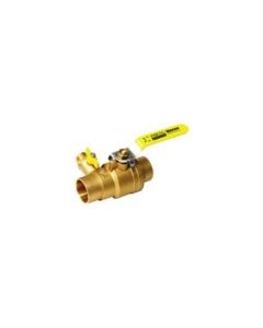 Webstone 50616 1-1/2-Inch SWT Pro-Pal Ball Valve with Hi-Flow Hose Drain