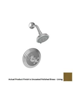 Newport Brass 3-924BP/03N Astor Shower Faucet with Single Metal Cross Handle, Polished Brass Uncoated