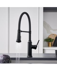 Blanco 443022 Empressa Semi-Pro Kitchen Faucet 1.5 GPM in Matte Black