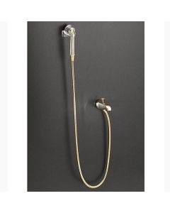 Kohler 9673-PB Persona Handshower and Diverter Bath Spout Kit in vibrant polished brass