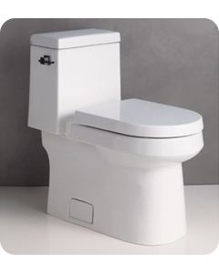 Danze DC031221WH Ziga Zaga 1 Piece Toilet in White