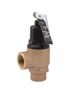 Cash Acme 13570-0100 F-82 3/4" 100 PSI Pressure-Only Safety Relief Valve
