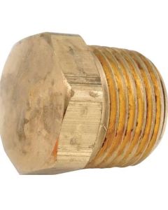 3/8" Brass Plug