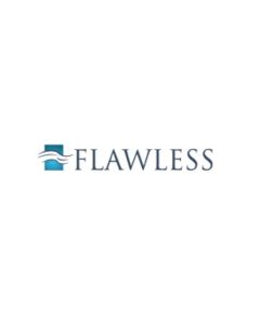 Flawless MPM2440FP 24" x 40" Mirror Replacement Door Only