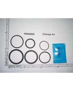 Grohe 46066000 Washer Set