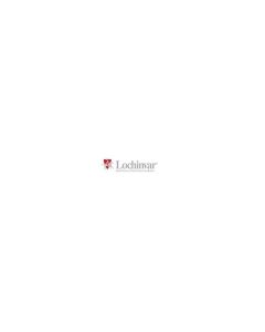 Lochinvar 100135268 Burner Assembly with Gasket for WH199