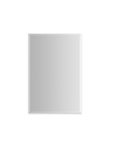 Robern P2C2436D4FBFS PL Portray 24" W X 36" H X 4" D Recessed Medicine Cabinet in Bevel Edge with Slow-Close Hinges, Sliding Magnification Mirror, Quick Caddy
