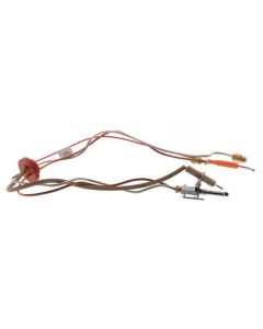 Rheem SP13884H Inner Door Gasket and Pilot Assembly Kit for Natural Gas Water Heaters